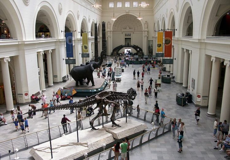 Fields Museum of Natural History - Chicago Landmarks