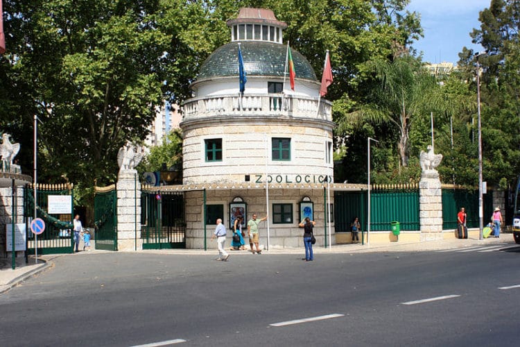 Lisbon Zoo - attractions in Lisbon, Portugal