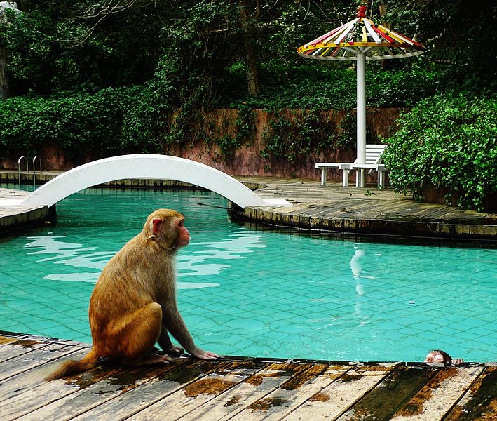Monkey Island - Hainan attractions