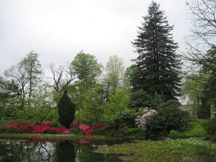 Ghent University Botanical Garden - Ghent attractions