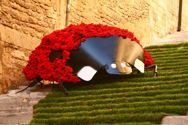 Festival "Time of flowers" - Girona attractions