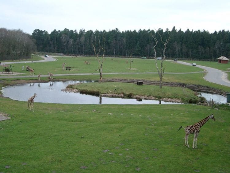 Serengeti Park - Hanover attractions