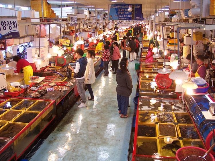 Chagalchi Fish Market in South Korea