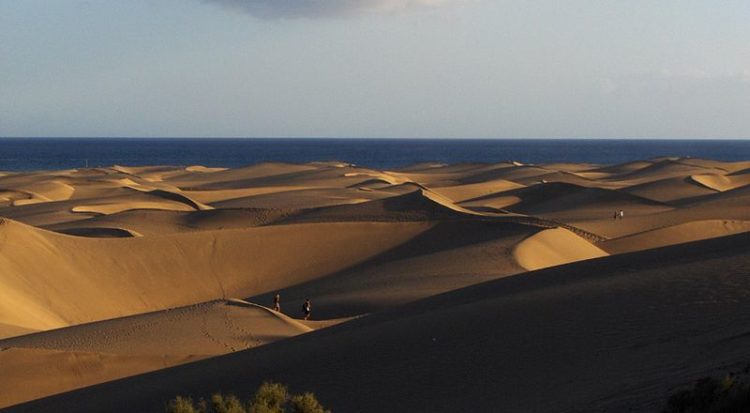 Dunes of Maspalomas in Spain