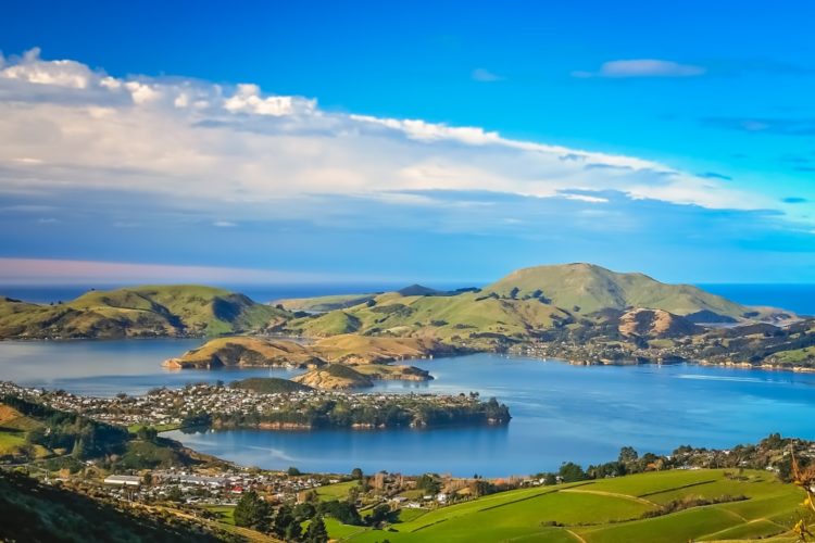 Otago Peninsula in New Zealand