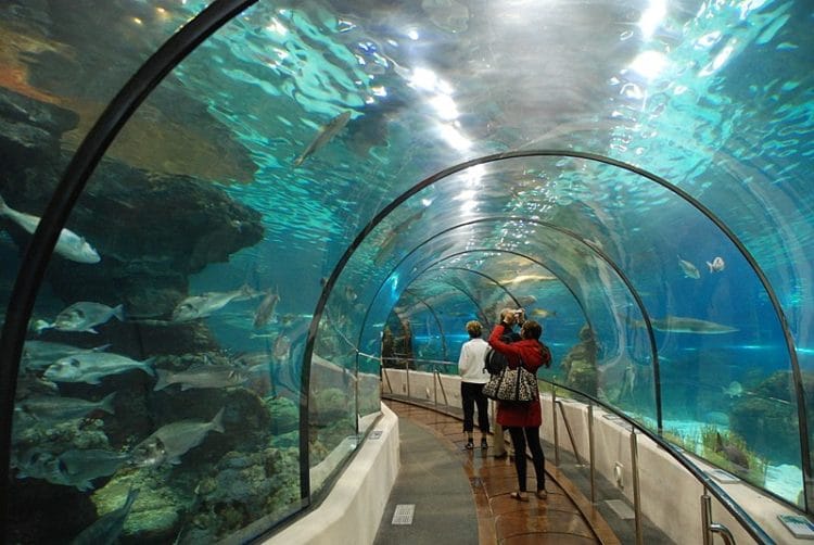 Barcelona Aquarium in Spain