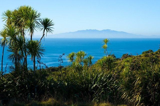 Tiri Tiri Matangi Island in New Zealand