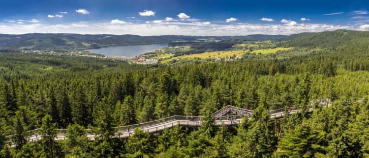 Lipno Lake and Ecological Trail in Bohemia
