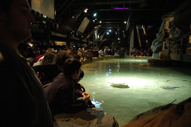 Aquarium - Genoa attractions
