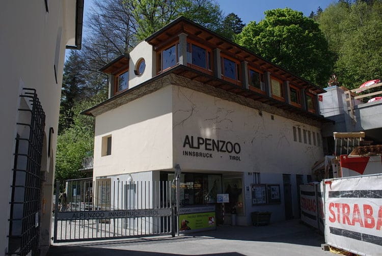 Alpine Zoo - Innsbruck attractions