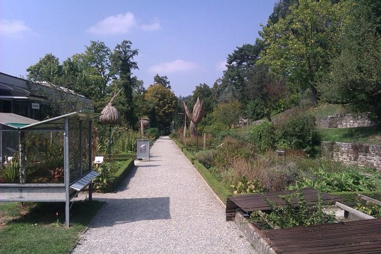 Botanical Gardens - attractions in Lausanne