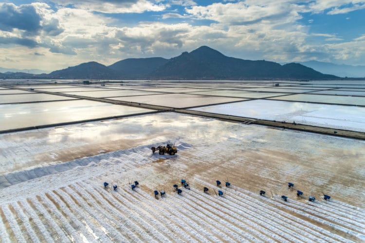 Hong Khoi Salt Plantations - Nha Trang Sites