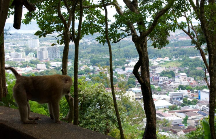 Monkey Mountain - Phuket attractions