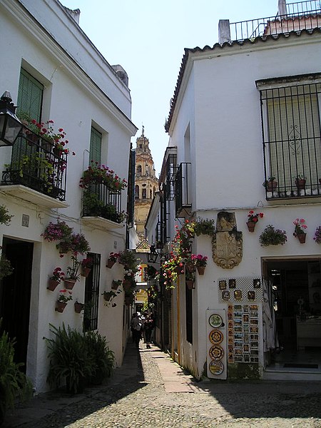 Flower Street - Sights of Cordoba