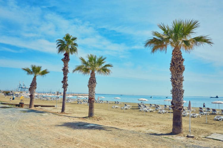 Finikudes Beach - Larnaca attractions