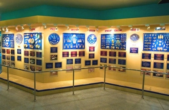 Seashell Museum - Phuket attractions