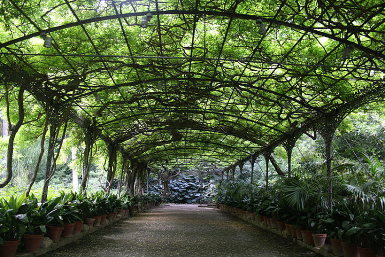 Ботанический сад Ла Консепсьон - Достопримечательности Малаги