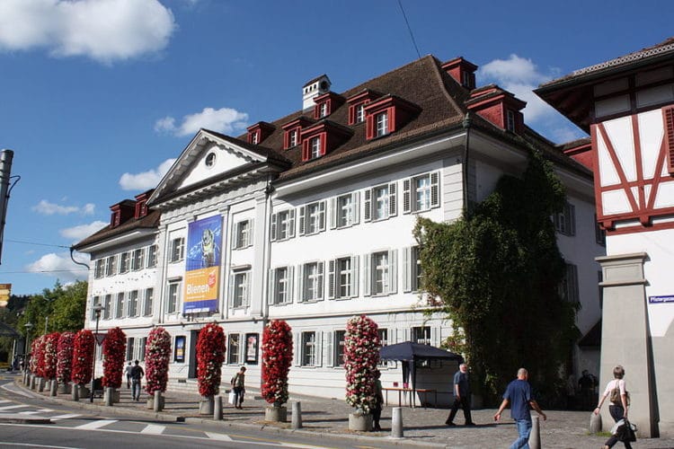Lucerne Nature Museum - Lucerne attractions