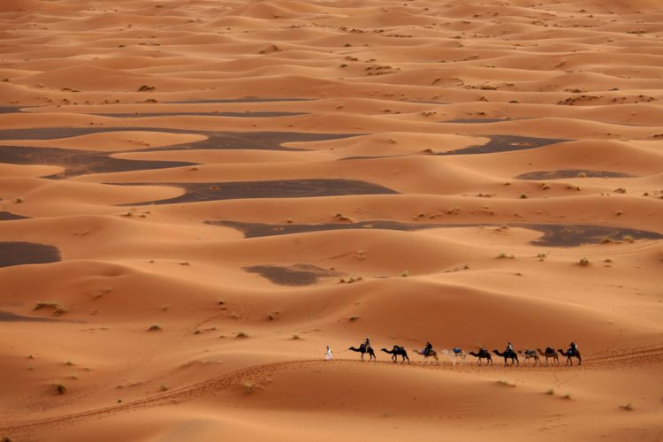 Пустыня Сахара в Тунисе - достопримечательности Туниса