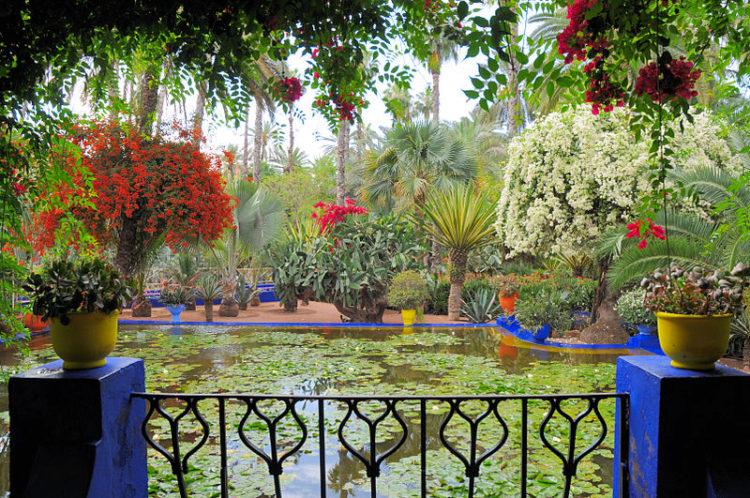 Сад Мажорель - достопримечательности Марокко