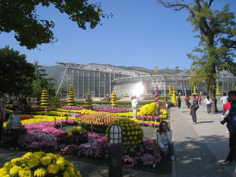 Пекинский ботанический сад в Китае
