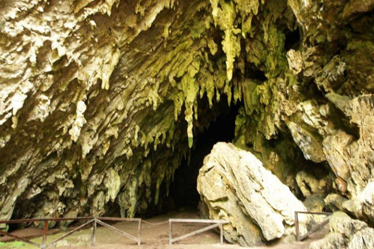 Достопримечательности Венесуэлы - Пещера Эль-Гуачаро (национальный парк Эль-Гуачаро)