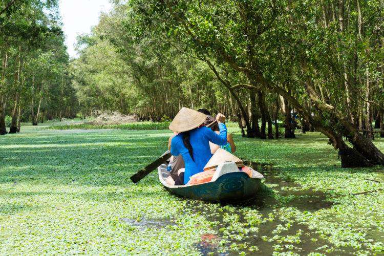 Достопримечательности Вьетнама- Дельта реки Меконг
