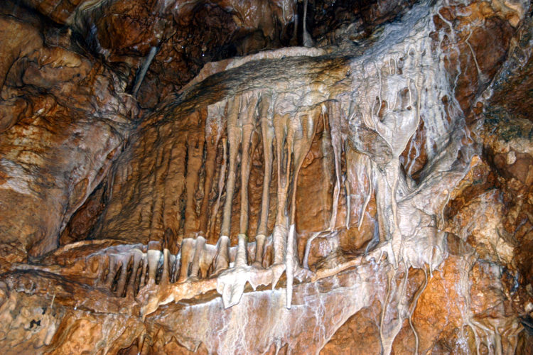 Достопримечательности Чехии - Конепрусские пещеры