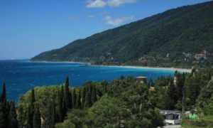 Абхазия, куда поехать с детьми, рекомендации курортов