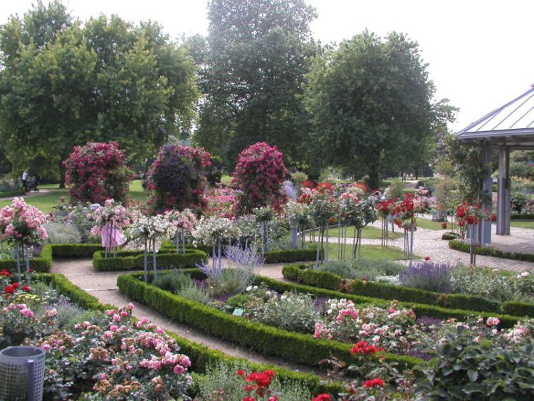 Парк Плантен-ун-Бломен (Planten un Blomen) в Гамбурге - достопримечательности Гамбурга, Германия