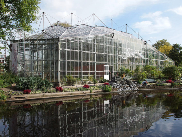 Амстердамский ботанический сад (Hortus Botanicus) - достопримечательности Амстердама, Голландия