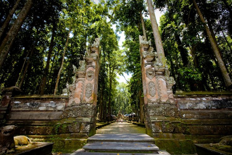 Лес обезьян в Убуде - достопримечательности Бали