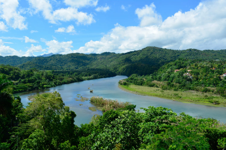 Река Рио-Гранде - достопримечательности Ямайки