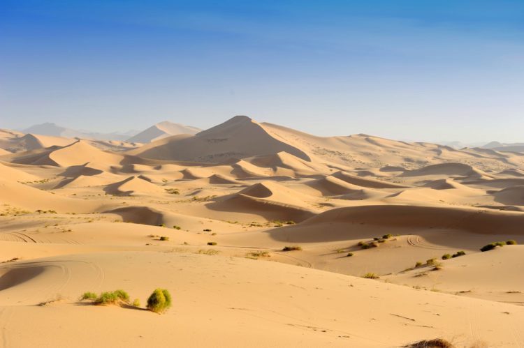 Пустыня Сахара -Что посмотреть в Алжире