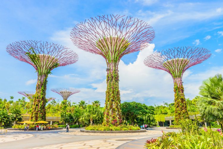 Сады у залива (Gardens by the Bay) - достопримечательности Сингапура