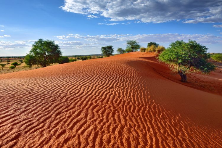 Пустыня Калахари - достопримечательности ЮАР