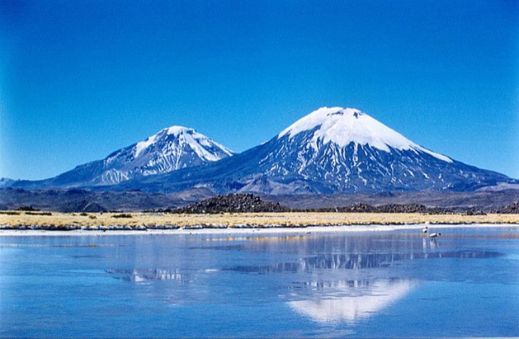 Национальный парк Лаука - достопримечательности Чили