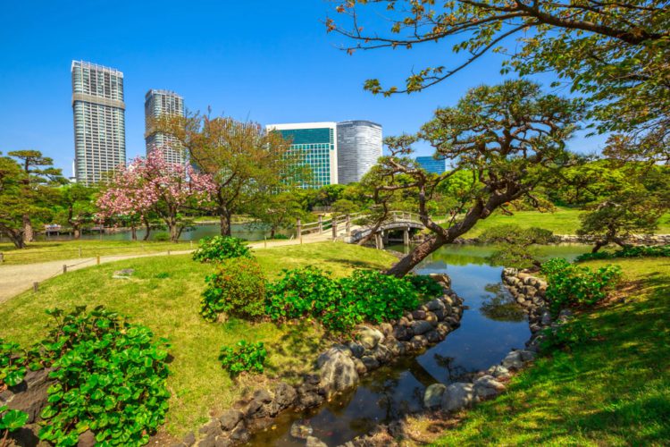 Сады Хамарикю - достопримечательности Токио