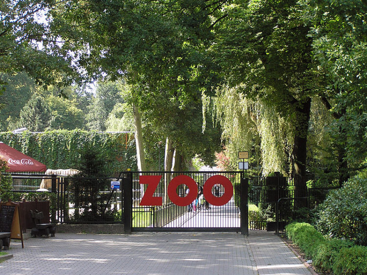 Краковский зоопарк - достопримечательности Кракова