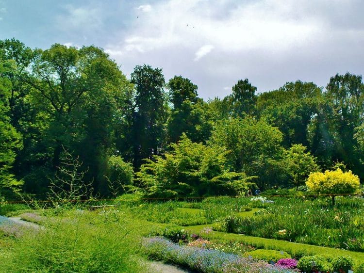 Ботанический сад Ягеллонского университета - Что посмотреть в Кракове