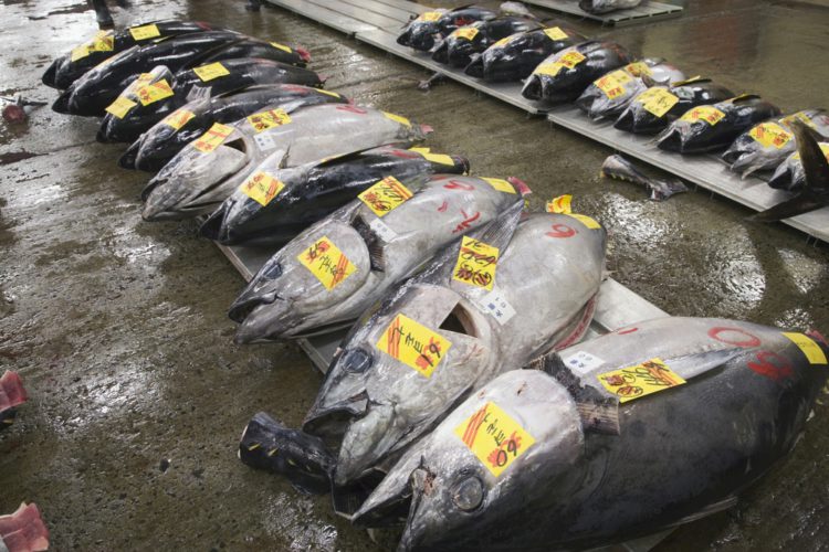 Рыбный рынок - достопримечательности Токио