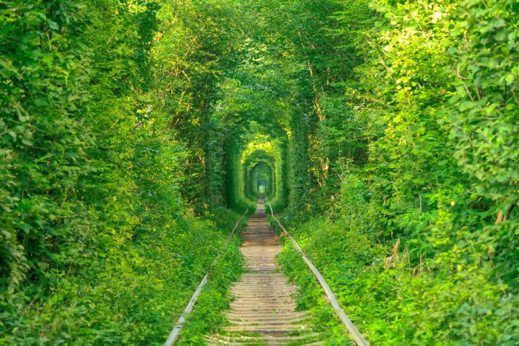 Самые красивые места планеты - тоннель любви, Украина