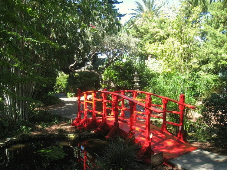 Ботанический сад Майами-Бич - достопримечательности Майами