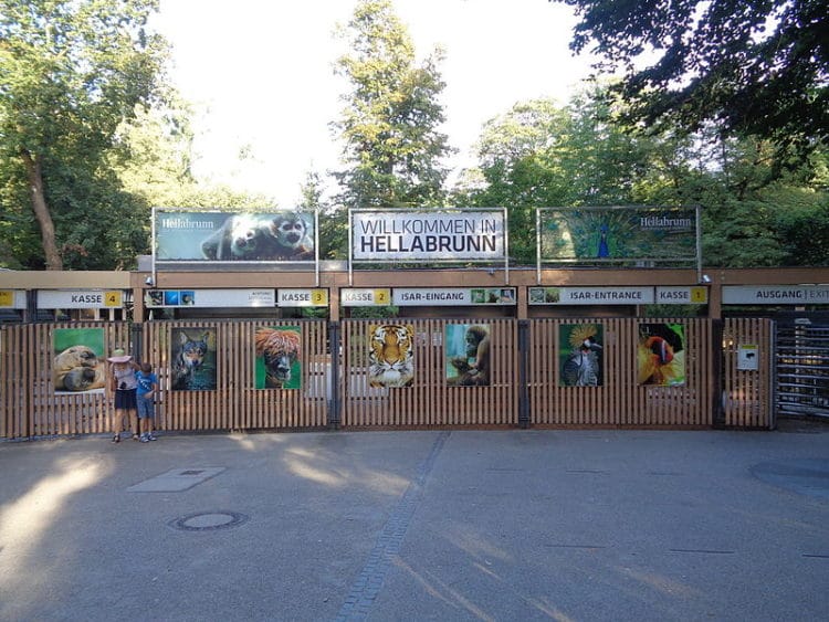 Мюнхенский зоопарк Хеллабрунн - Что посмотреть в Мюнхене