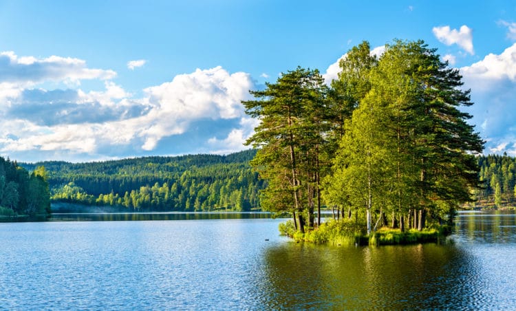 Озеро Согнсванн - достопримечательности Осло