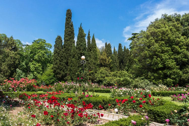 Никитинский ботанический сад - достопримечательности Ялты