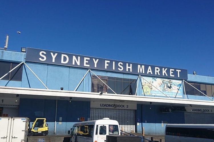 Сиднейский рыбный рынок - достопримечательности Сиднея