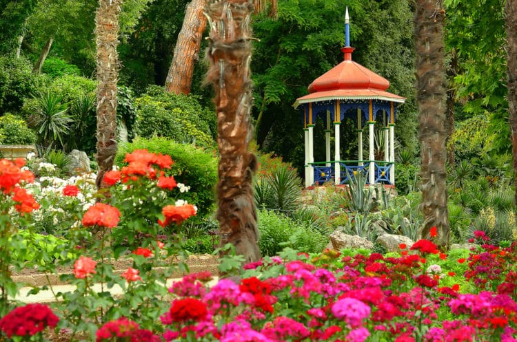 Никитский ботанический сад - достопримечательности Крыма