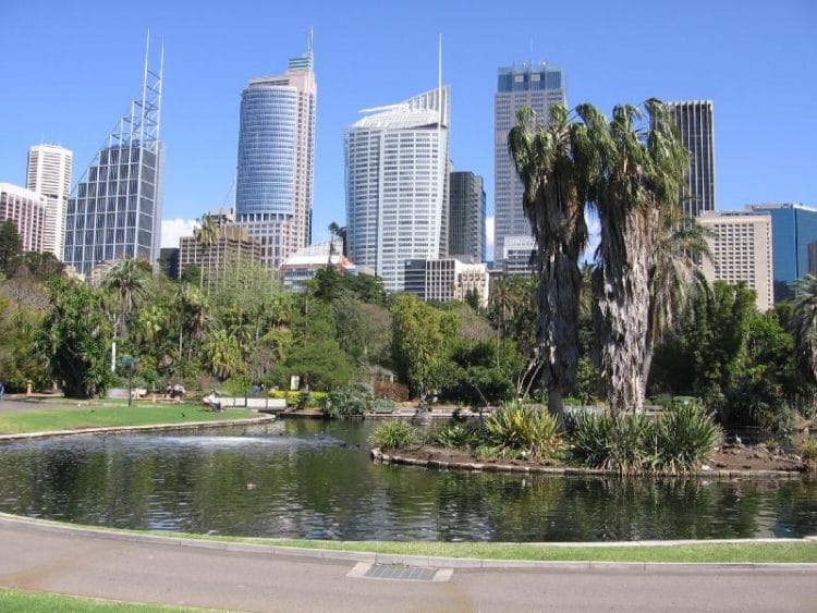 Королевский ботанический сад - достопримечательности Сиднея