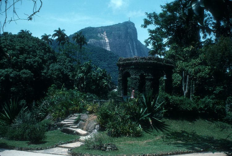 Ботанический сад Рио-де-Жанейро - достопримечательности Рио-де-Жанейро